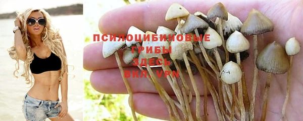 мяу мяу кристалл Гусев